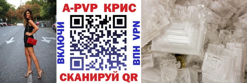 kraken ТОР  Курчалой  Alpha PVP СК 