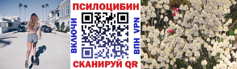купить закладку  kraken зеркало  Галлюциногенные грибы мицелий  Курчалой 